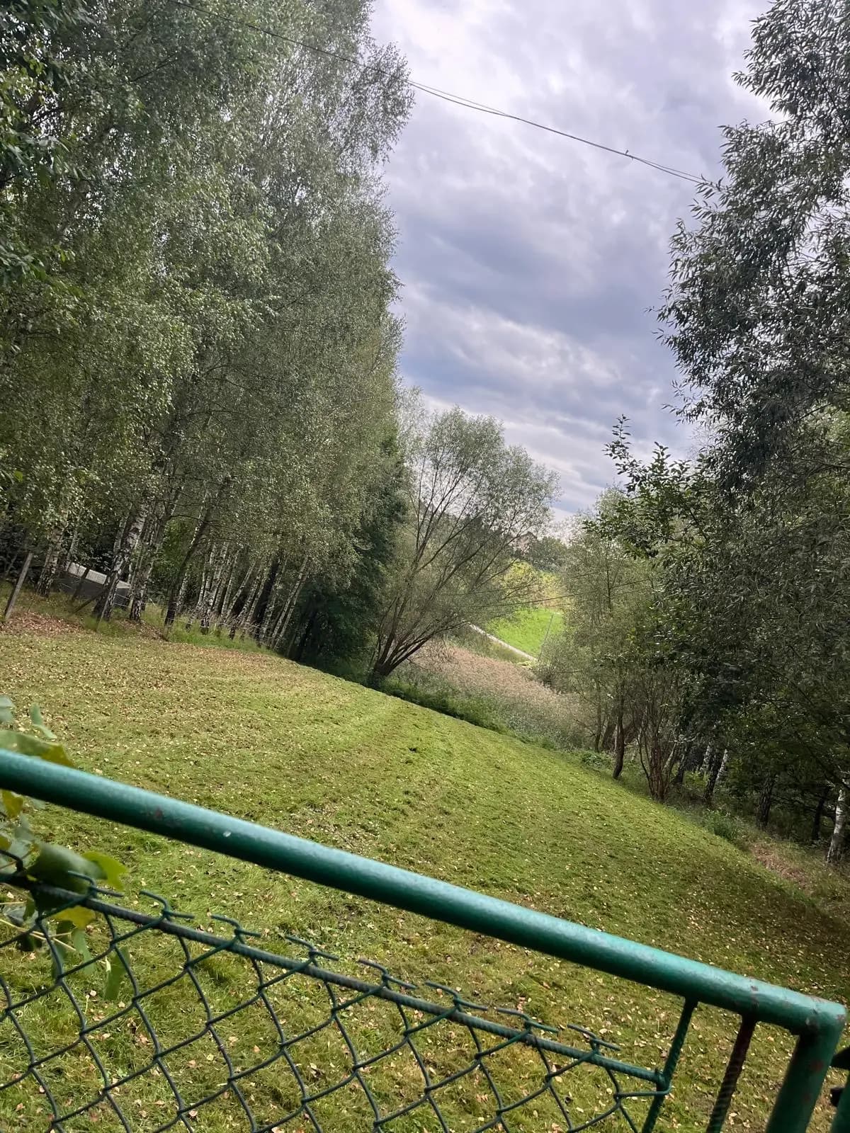 Skoszona łąka po pracach porządkowych