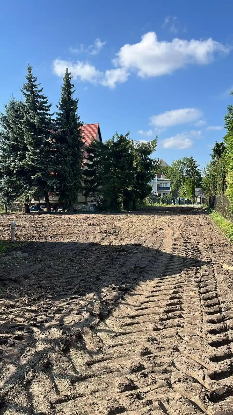 Teren po mulczowaniu w Krakowie