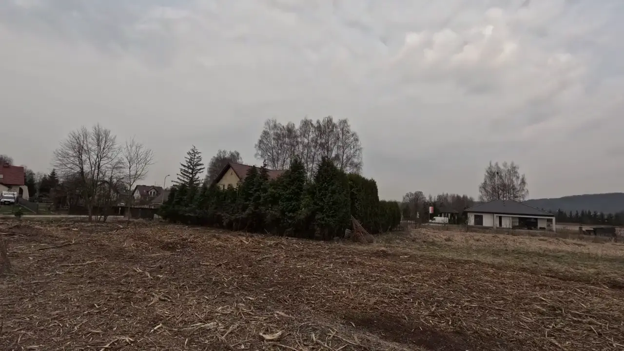 Działka budowlana po mulczowaniu