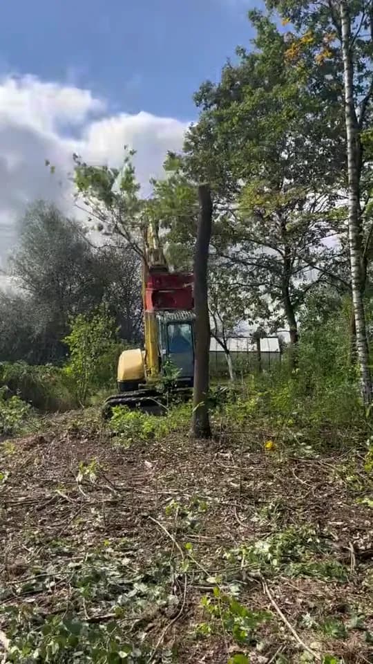 Mulczowanie gałęzi z bliska