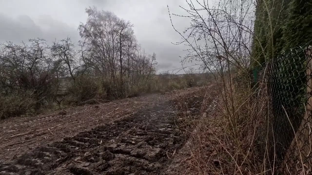 Mulczowanie gęstych zarośli