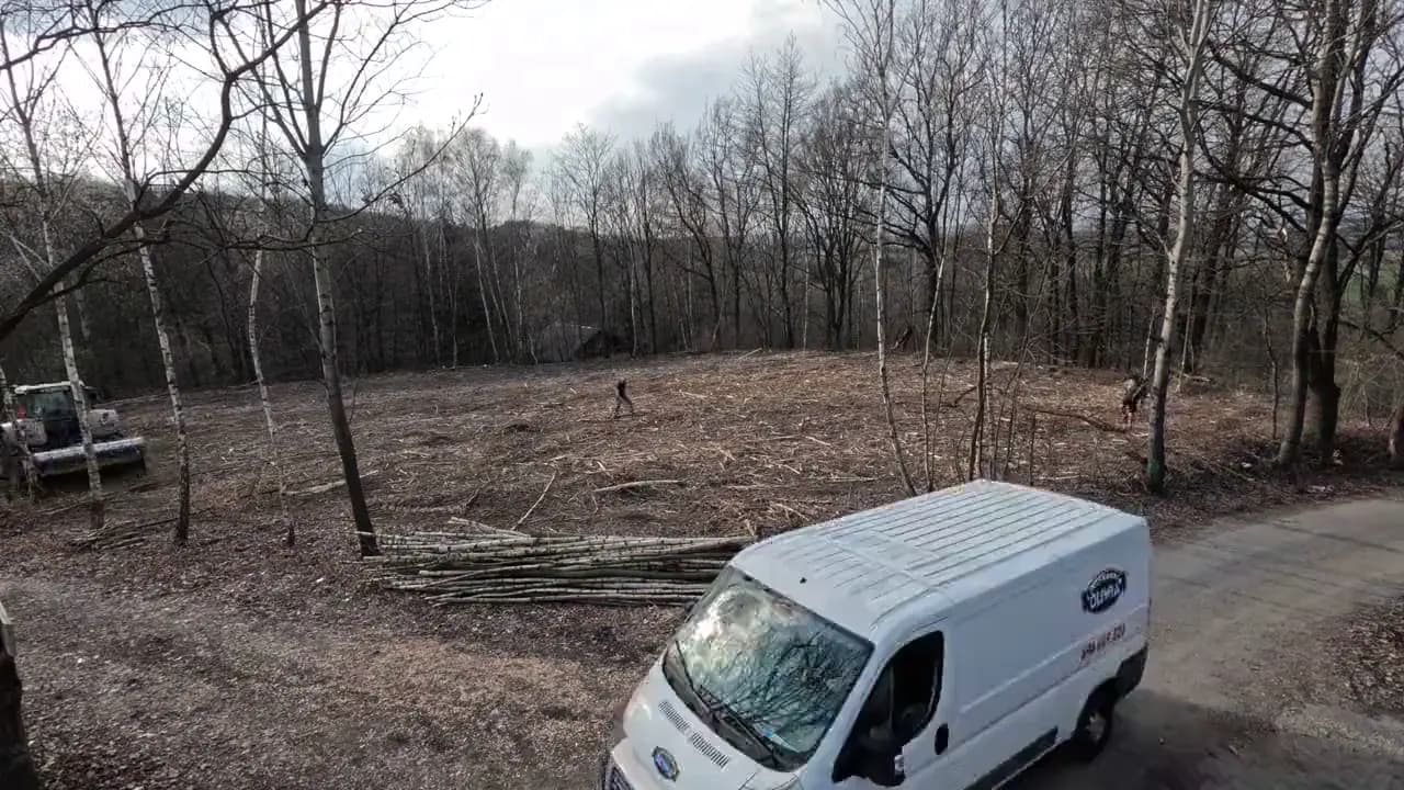Kompleksowe czyszczenie działki z wycinką
