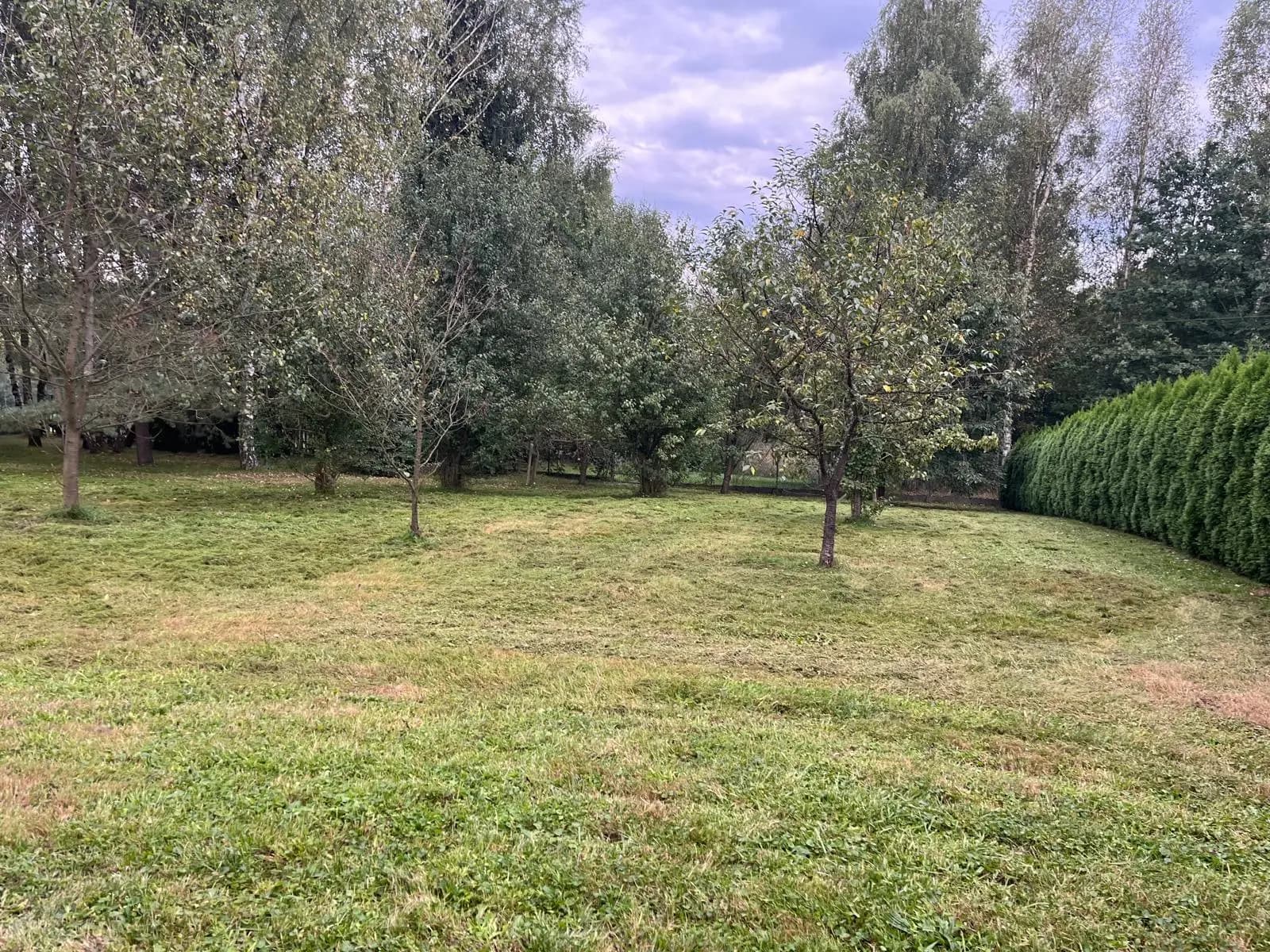 Czyszczenie działek