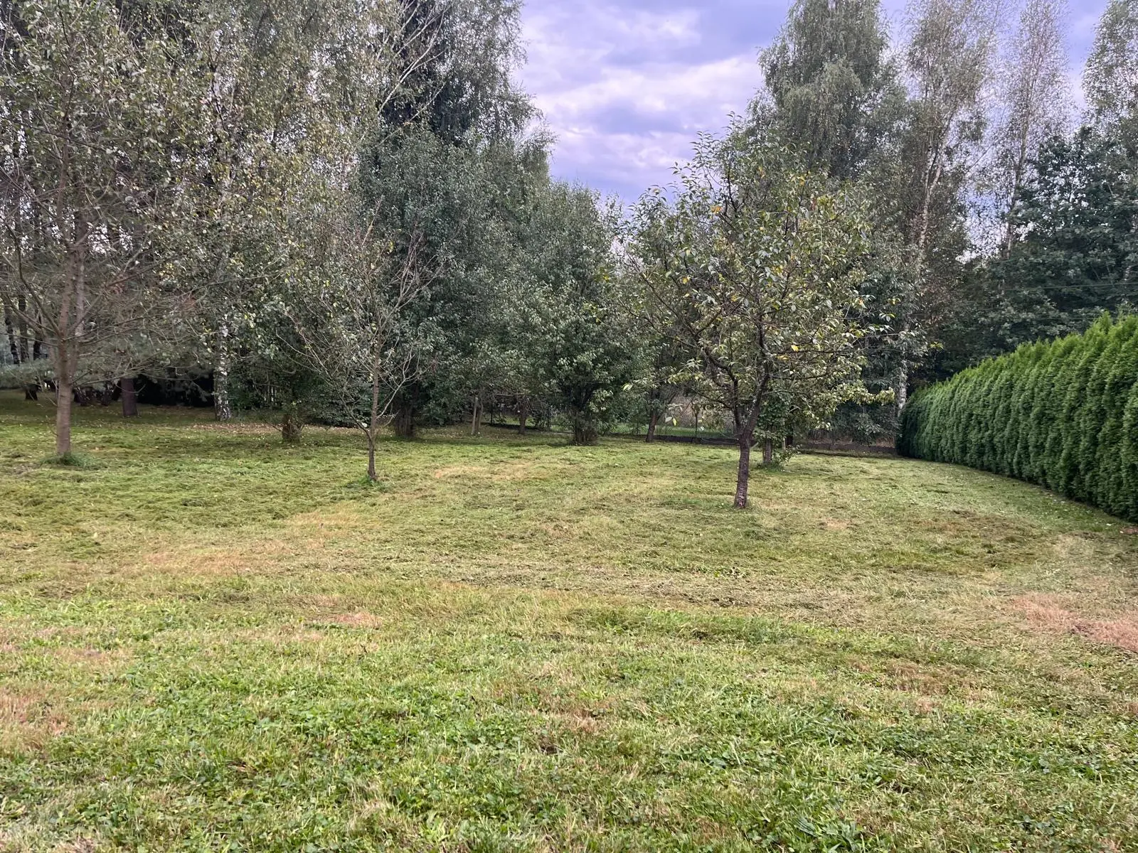 Czyszczenie działek